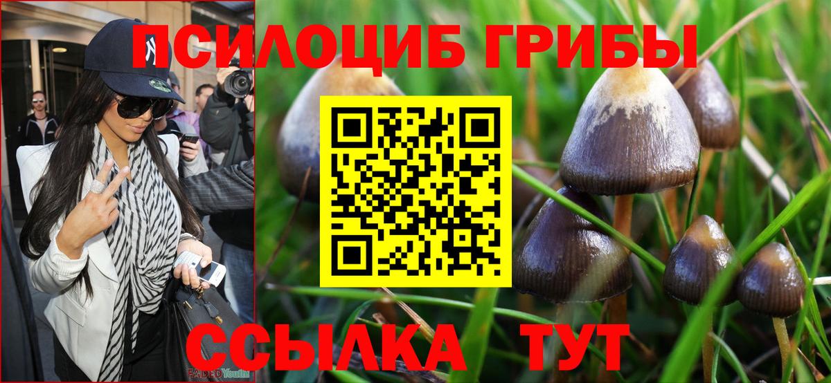 Псилоцибиновые грибы Cubensis Анапа