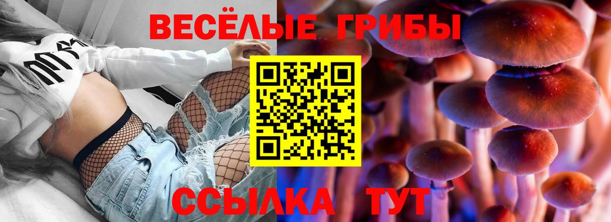 Псилоцибиновые грибы Psilocybine cubensis  Галлюциногенные грибы Psilocybine cubensis  Анапа  Вход с VPN 